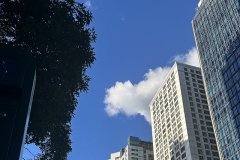 高才申請的機會，真的就僅僅只有一次嗎?
