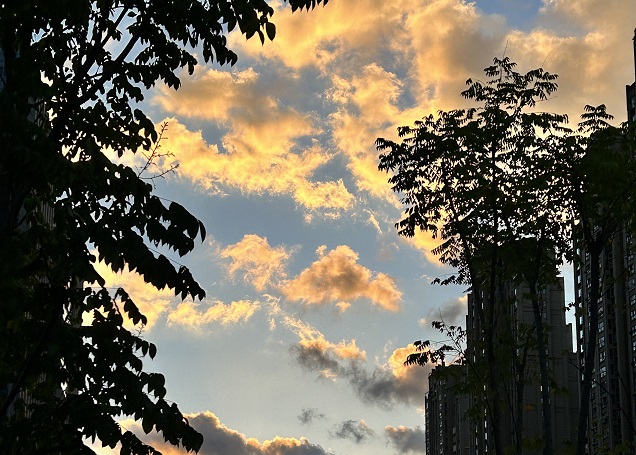 2025上半年，中國企業(yè)出海刷新全球副本：更猛、更強(qiáng)、更聰明